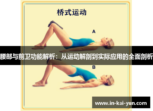 腰部与前卫功能解析：从运动解剖到实际应用的全面剖析