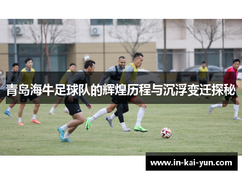 青岛海牛足球队的辉煌历程与沉浮变迁探秘